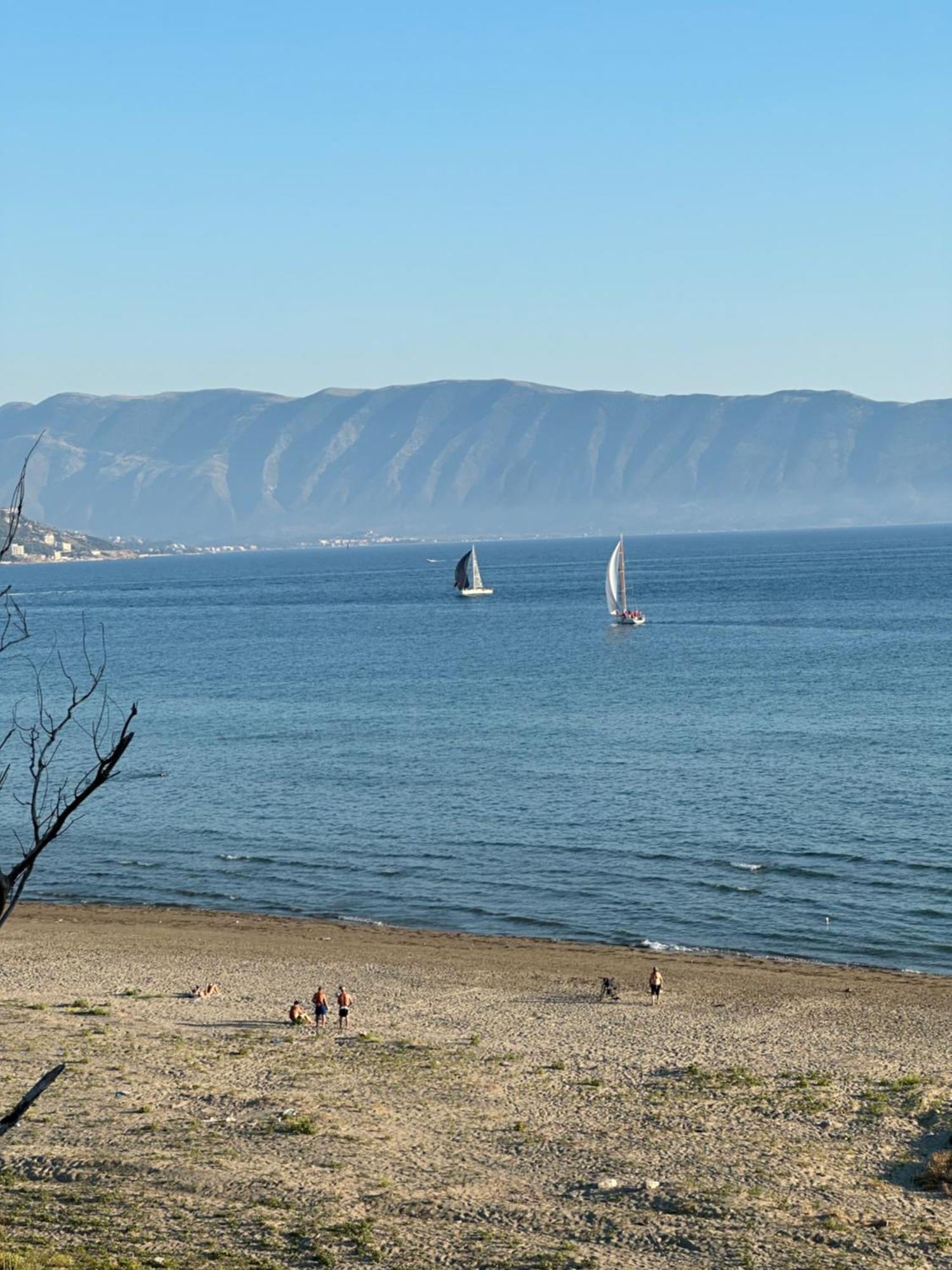 Panorama *